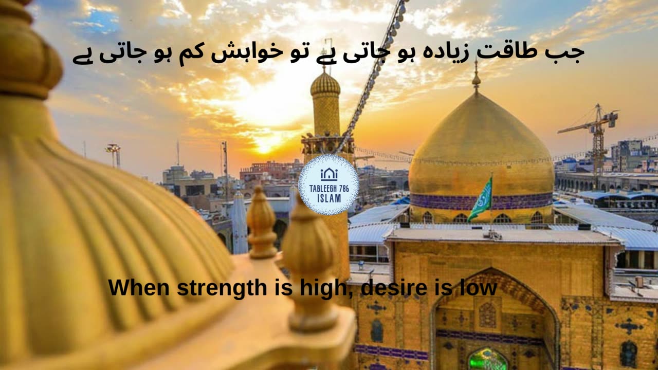 Top 10 best HAZRAT ALI sayings | Quotes
