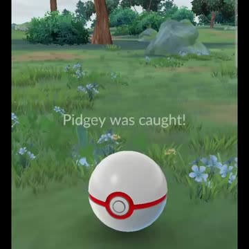 Pokémon GO-Shadow Pidgey