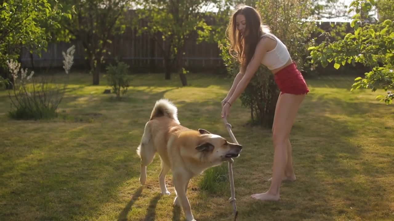 Adorable young woman playing with dog in the garden at sunset time