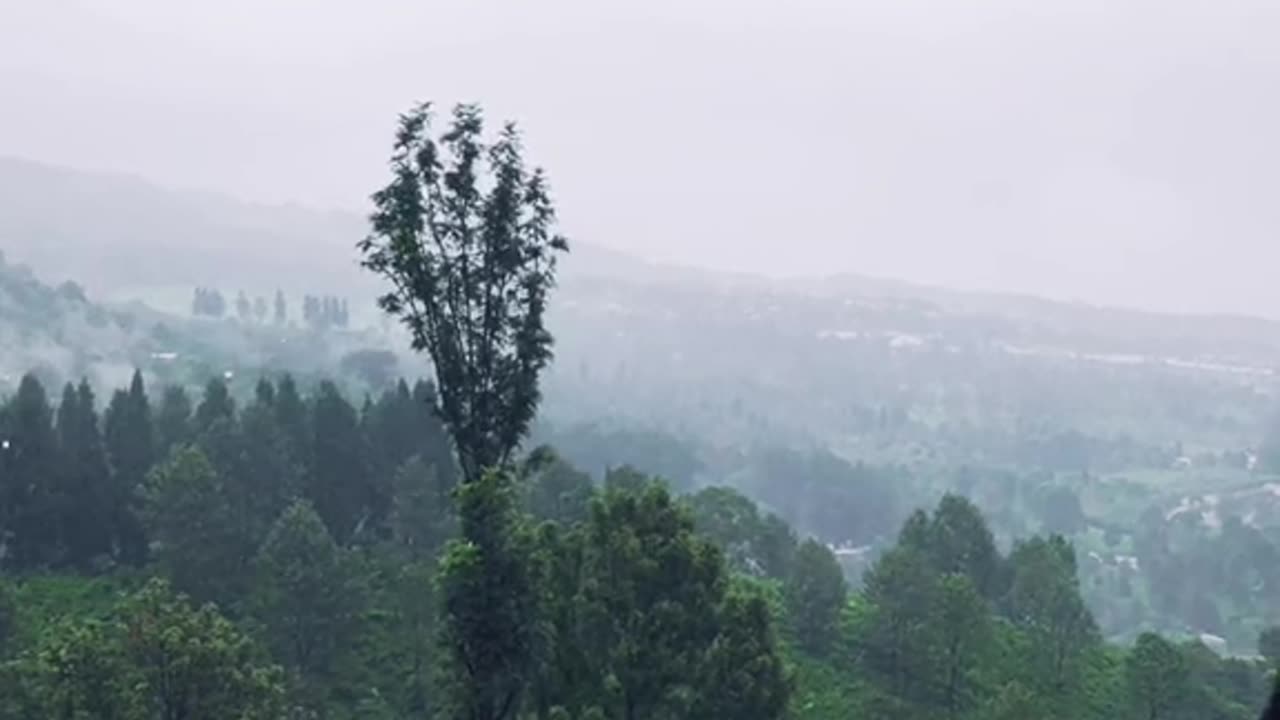 Sad Vibes Song