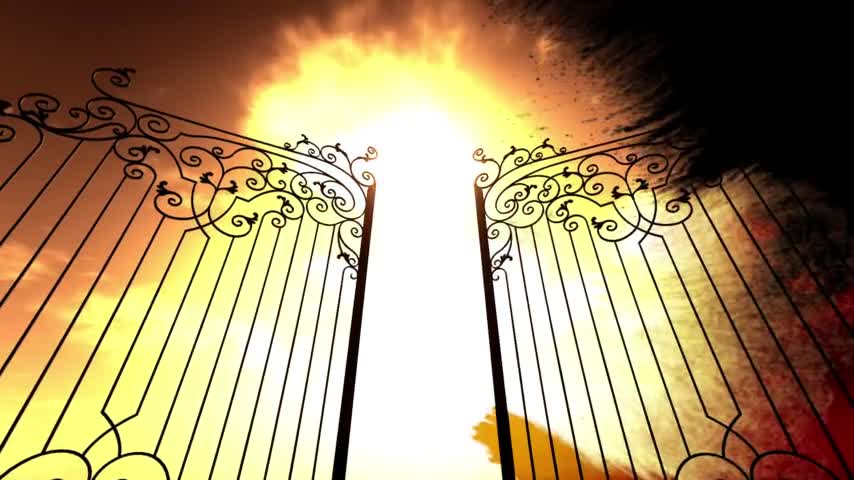(Pains Angels) My Walk with Daniel.