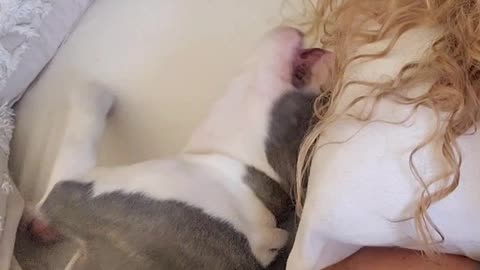 Trying to nap with a puppy