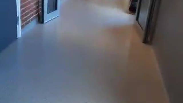 Football hall suprise