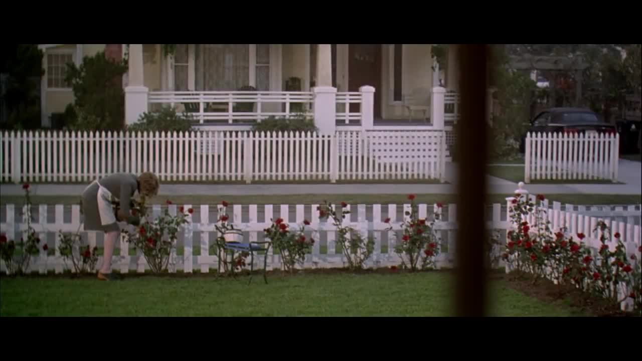 American Beauty - Official® Trailer [HD]