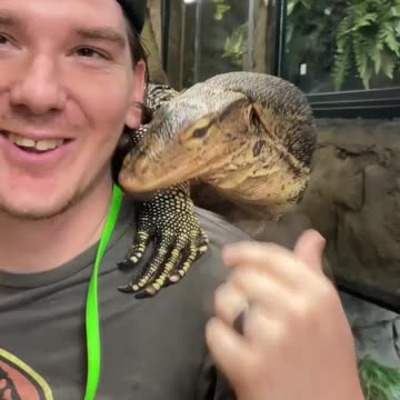 Bruce with Elvis! What is his favorite food? #thereptarium #reels #monitorlizard