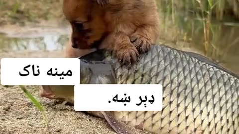 Amazing design 👏 to come in and watch the house I think