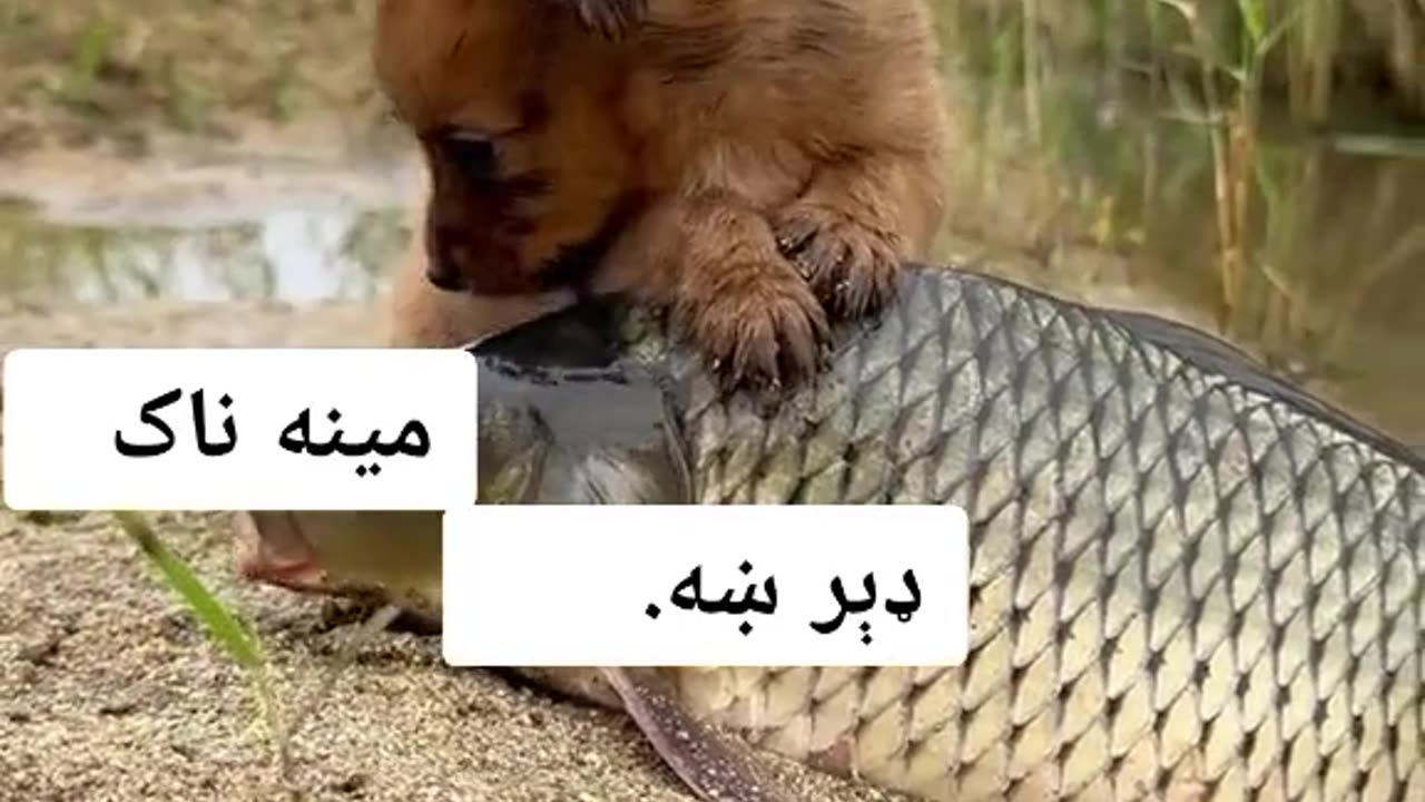 Amazing design 👏 to come in and watch the house I think