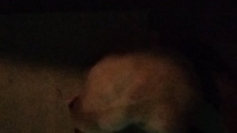 Hunters Moon Changes Position By Half A Sky In One Night