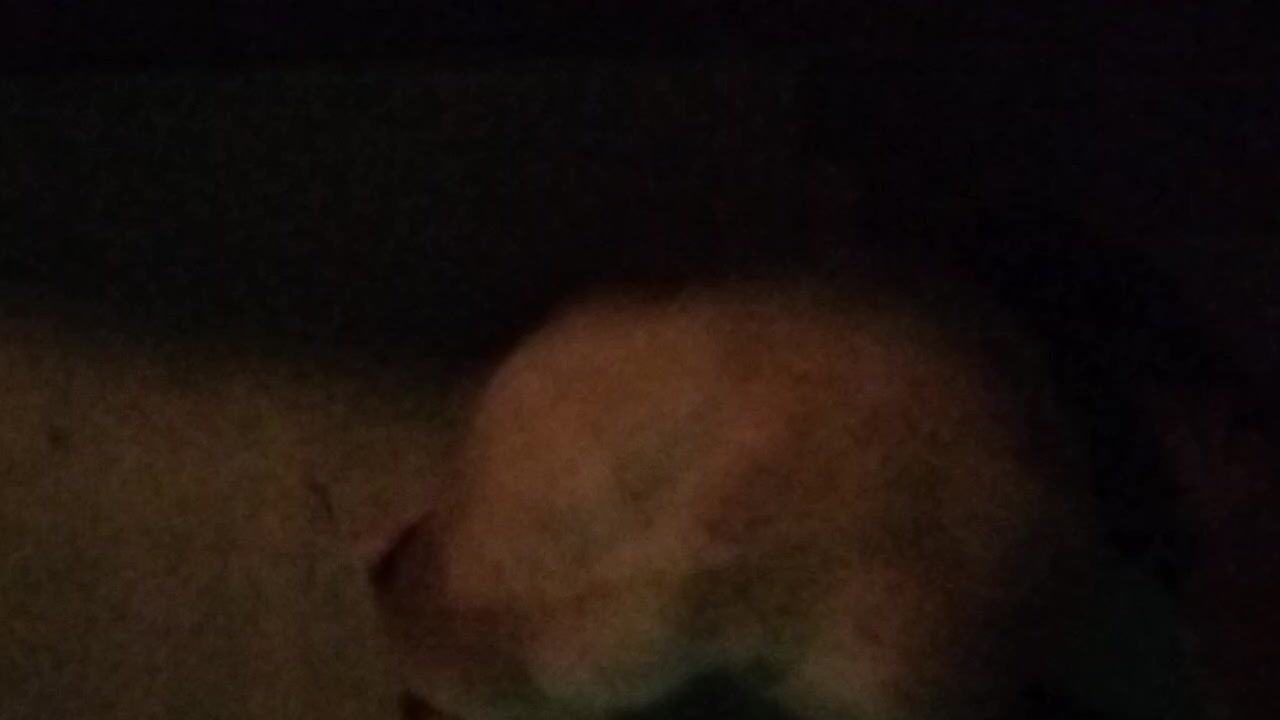 Hunters Moon Changes Position By Half A Sky In One Night