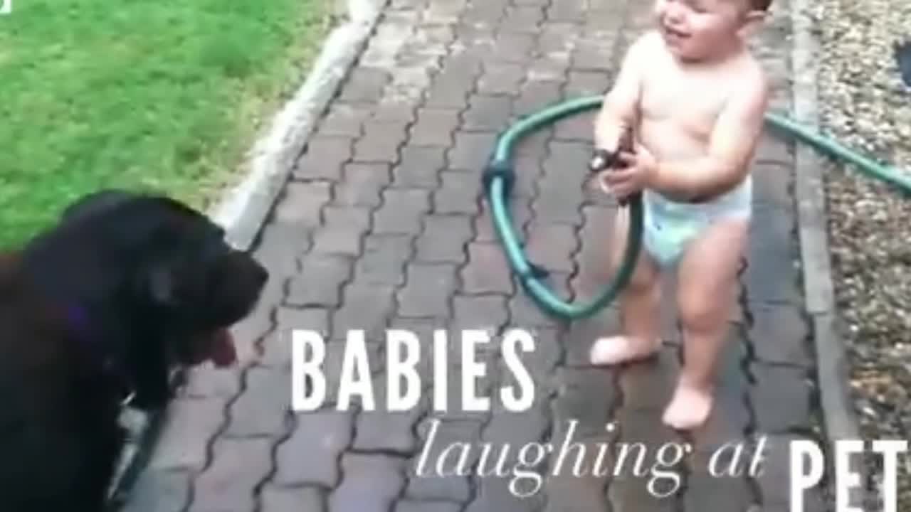 Boy playing with dog| Funny baby playing with funny dog