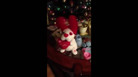 Stuffed Animal Having FUN!!! Too Cute!!!! lol