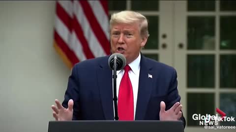 Donald Trump: Pauses Funding to the WHO