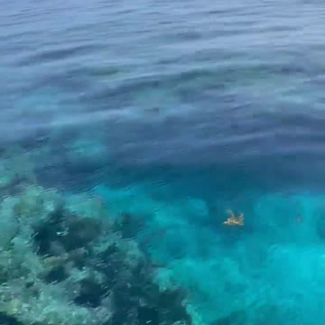 Florida Keys Freedom