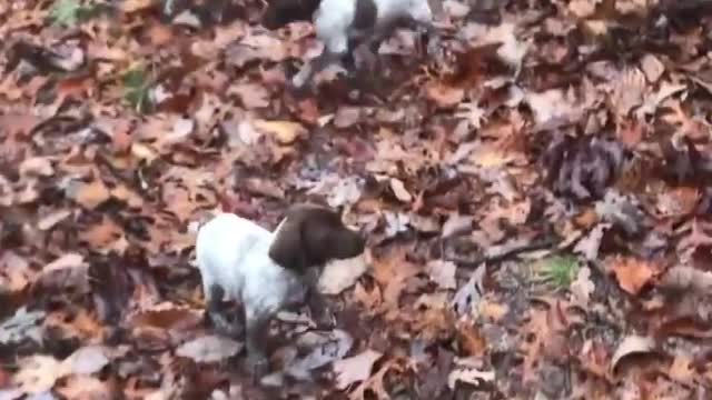 Where oh where is Mommy? *Wait for it