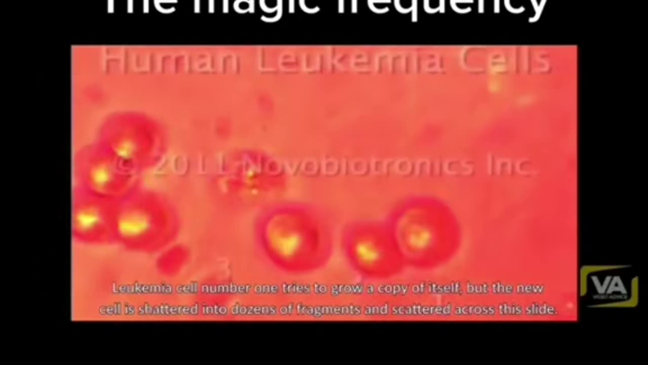 THE MAGIC FREQUENCIES SMASHES CANCER CELLS