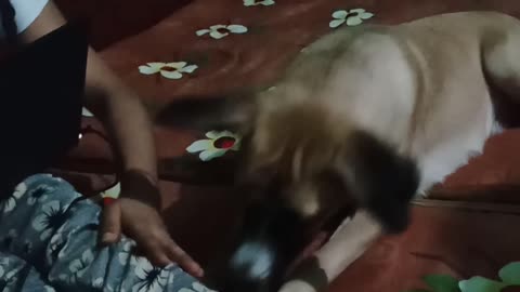 perrow is hungry #trending