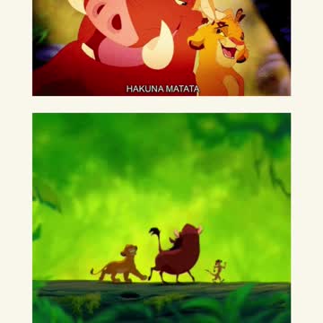 desenho timao e pumba