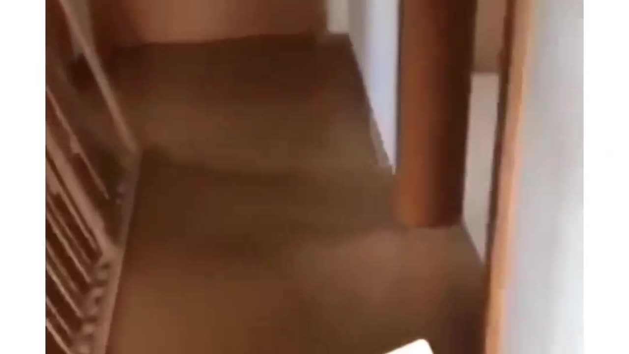 The ending😂