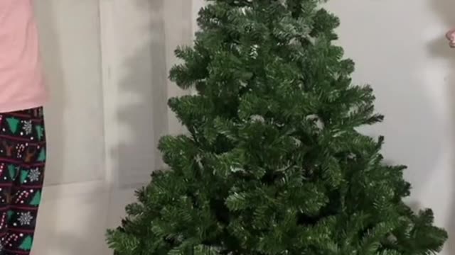 On fait notre sapin de no?l ! ????