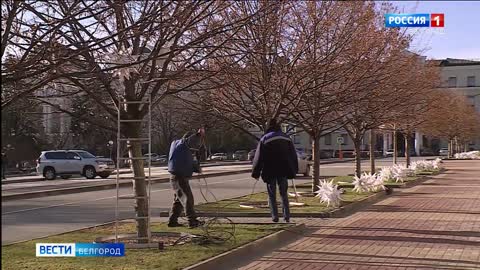 Белгород украшают к Новому году