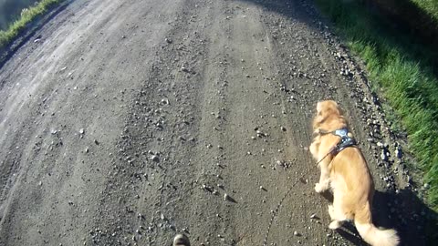 May 25th, 42º Flynn takes me to Prentiss again but doesn't complete his tasks.