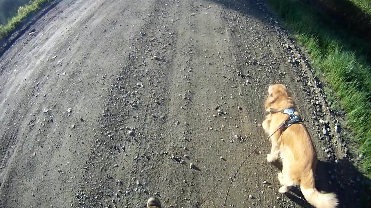 May 25th, 42º Flynn takes me to Prentiss again but doesn't complete his tasks.