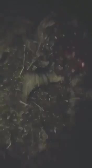 Dead Ukrainians artillery in Krasnopolye (to the north of the railway station "Sol)