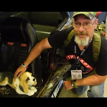 They Killed Wicks Dog