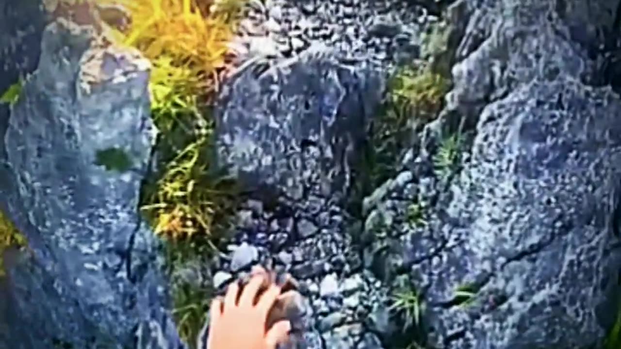 Wild Bear attacks Climber 😱😨