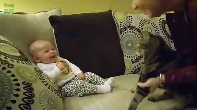 Funny Babies Laughing Hysterically at Cats Compilation (2017)