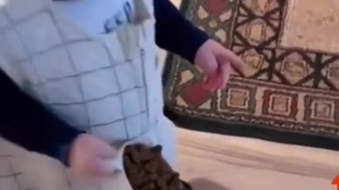 Funny toddler