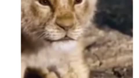 God is with you no matter what...