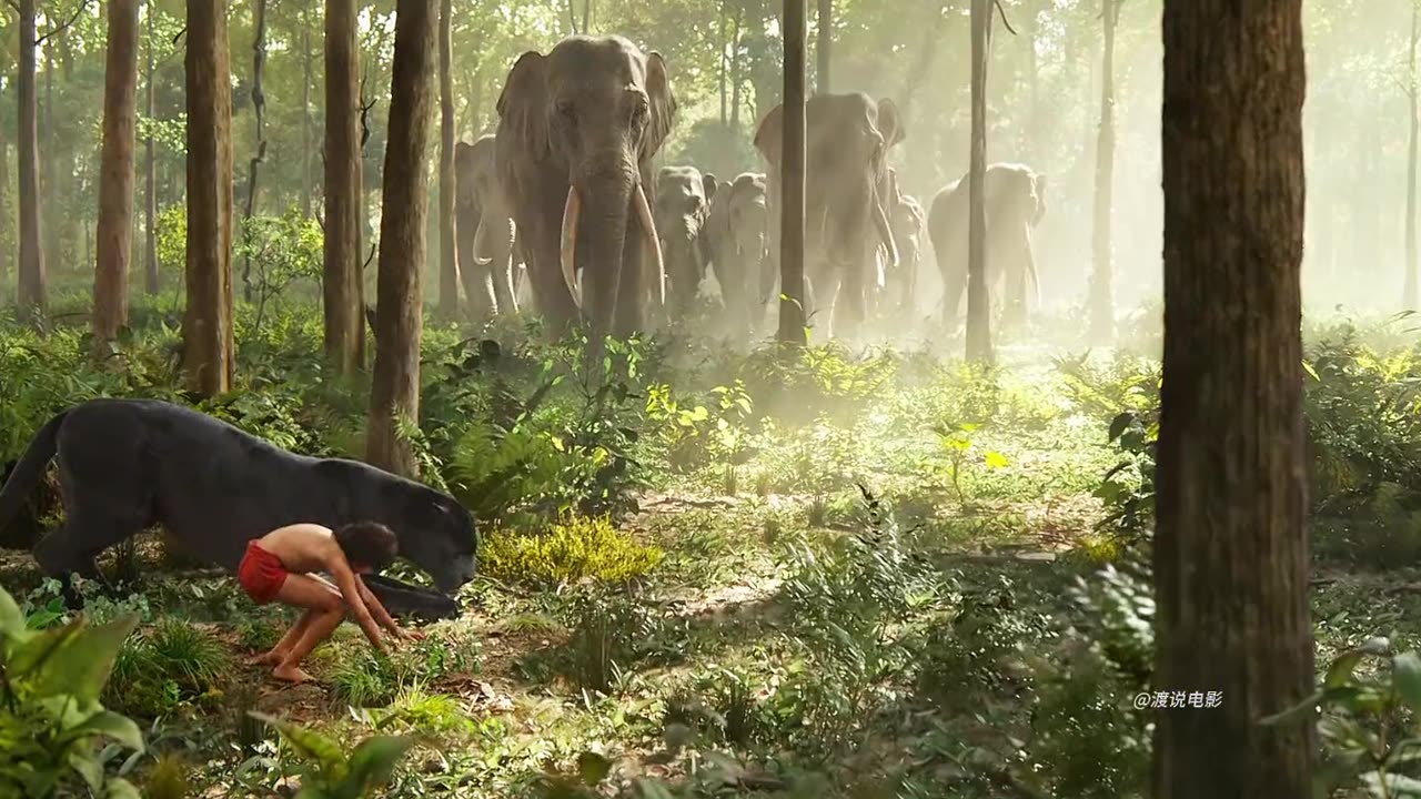 Jungle movie