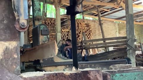 Wow Amazing Amazing!! 10-metre village coconut tree sawing at sawmill saw
