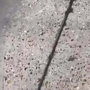 Breaking!!! Viral video on TikTok showed an apparent hostage situation at Walmart in Richland, MI