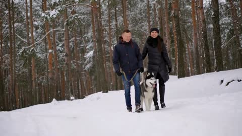 Waist up portrait of happy modern couple playing with cute Husky puppy outdoors in winter