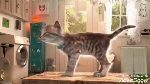 Funny cat cartoon movie