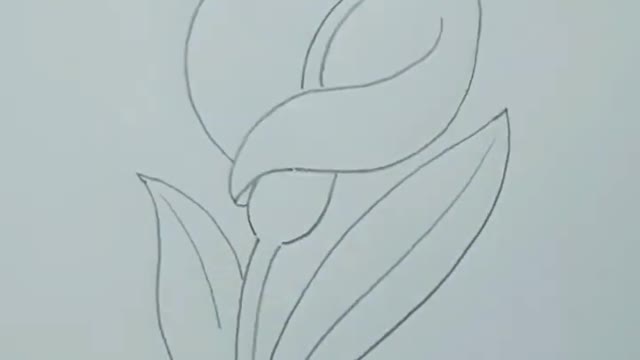 #Flower Drawing😀💯