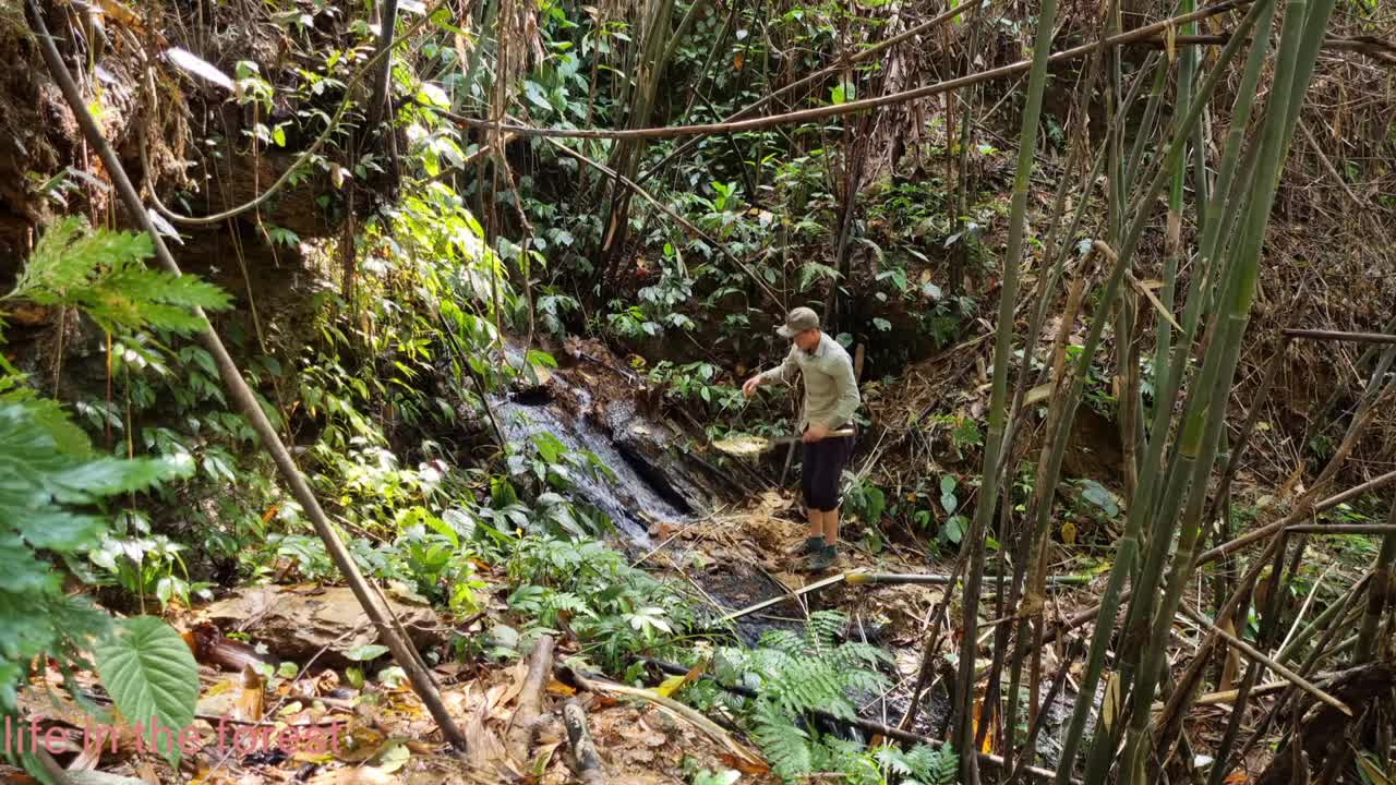 Life In The Forest,How To Bring Water Back, Build Outdoor Bath House 2022