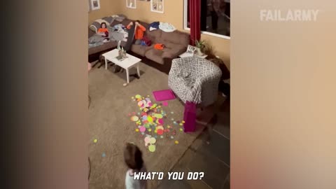 Funny Fails Compilations