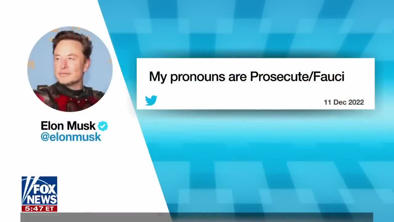 Media erupts over Elon Musk's pronouns tweet