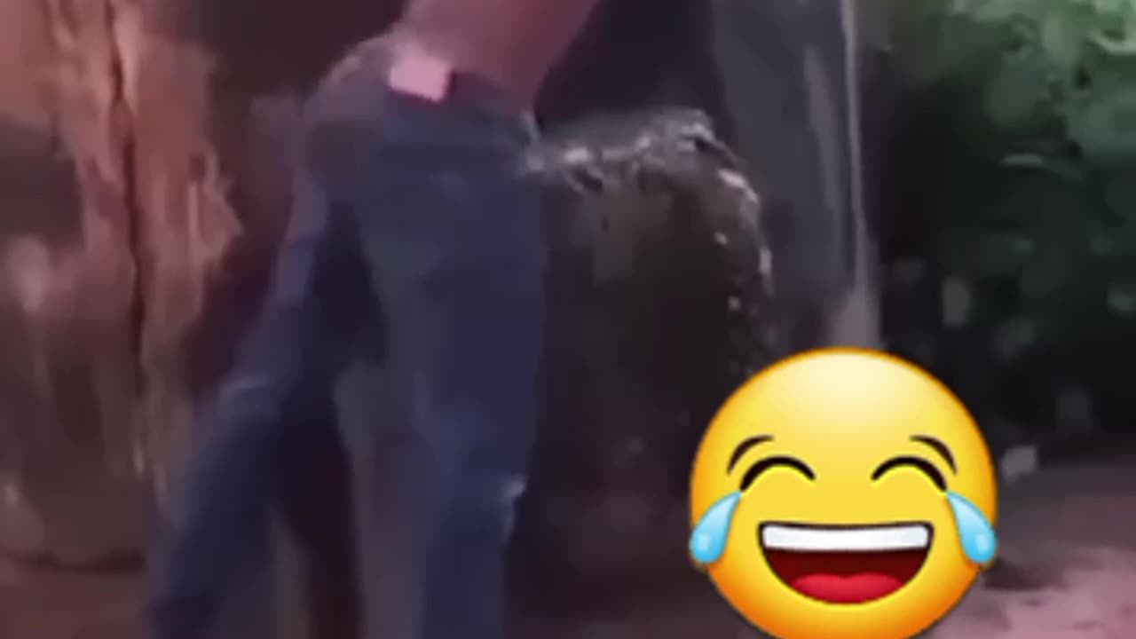 Funny Fails shorts 😂 😂 #trendingshorts #funny #fails fails #comedy #shorts