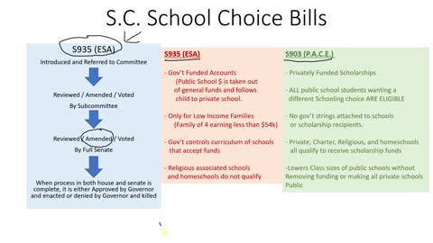 SC Fanning proposed incredible amendment for school choice