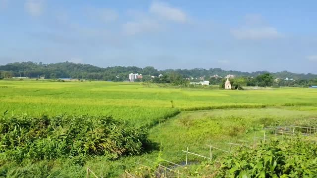 Train view