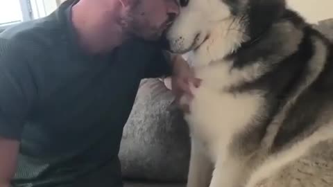 My Sweeties Buddy