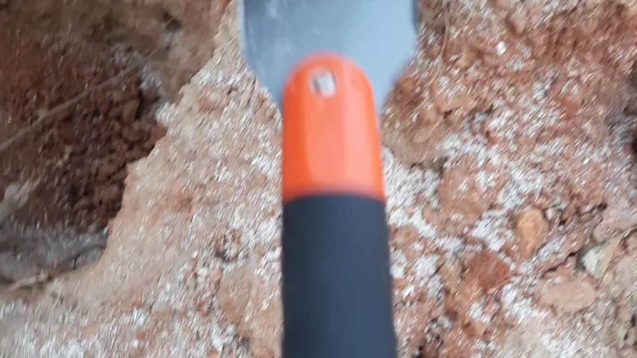 #how to cut a tree