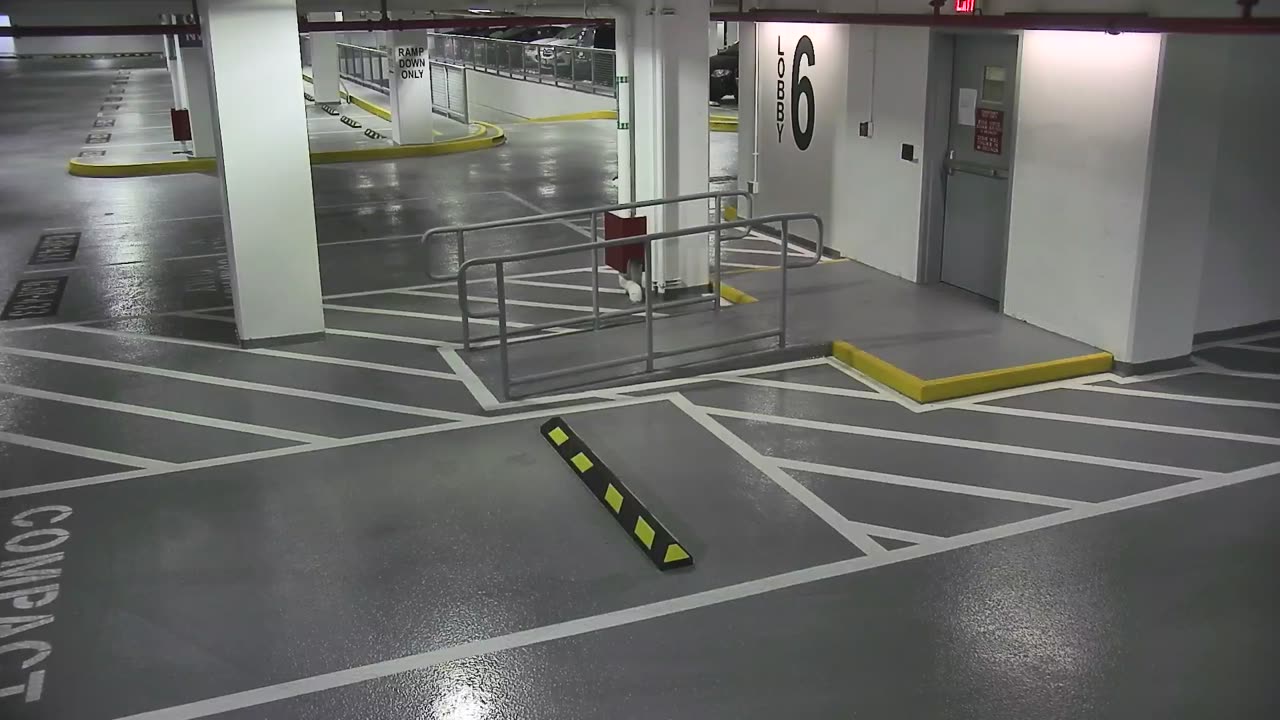 6082RHOBG3G306ANorthLobby_2021-01-05_15h40min01s050ms.mp4