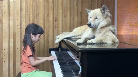 'Moon River' on Piano for Sharky the Dog