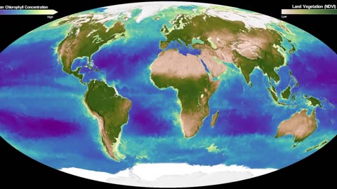 What El Niño Will do to Earth in 2024