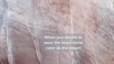 When you decide towear the exact same color as the desert